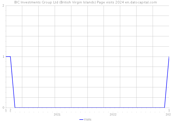BIC Investments Group Ltd (British Virgin Islands) Page visits 2024 