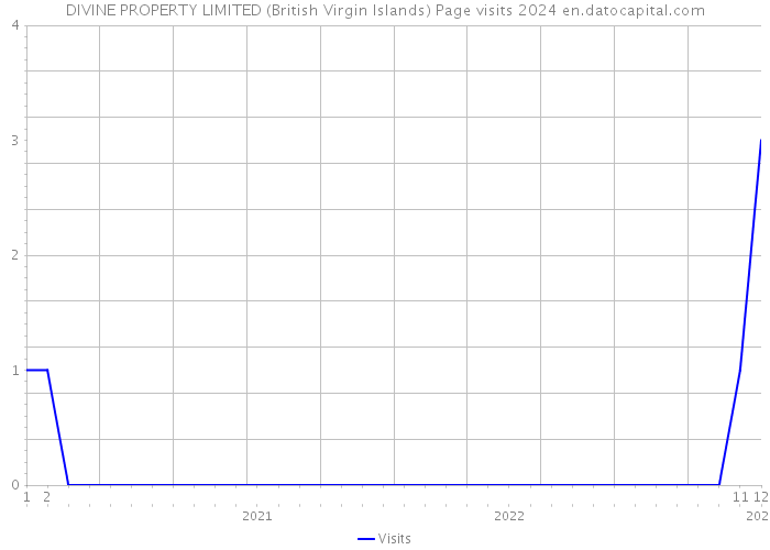 DIVINE PROPERTY LIMITED (British Virgin Islands) Page visits 2024 