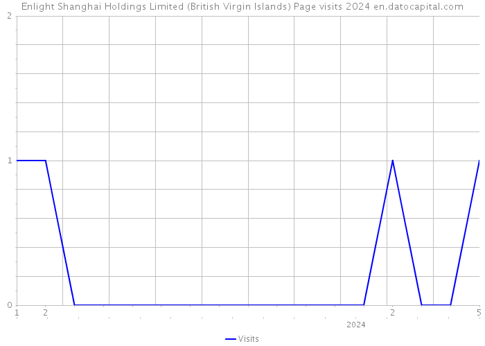 Enlight Shanghai Holdings Limited (British Virgin Islands) Page visits 2024 