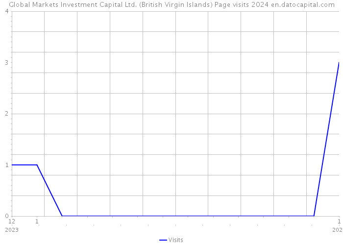 Global Markets Investment Capital Ltd. (British Virgin Islands) Page visits 2024 