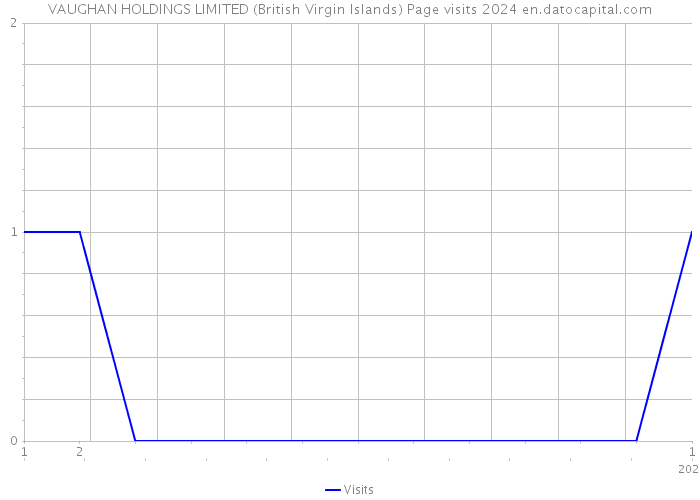 VAUGHAN HOLDINGS LIMITED (British Virgin Islands) Page visits 2024 