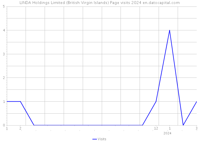LINDA Holdings Limited (British Virgin Islands) Page visits 2024 