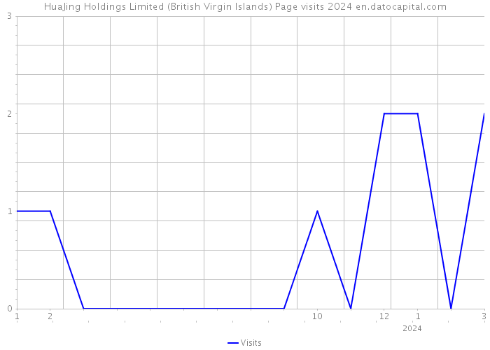 HuaJing Holdings Limited (British Virgin Islands) Page visits 2024 