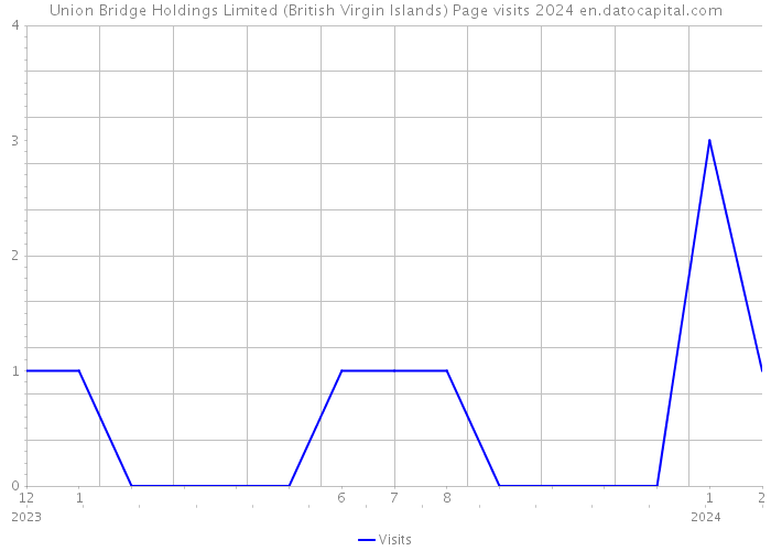 Union Bridge Holdings Limited (British Virgin Islands) Page visits 2024 