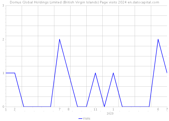 Domus Global Holdings Limited (British Virgin Islands) Page visits 2024 