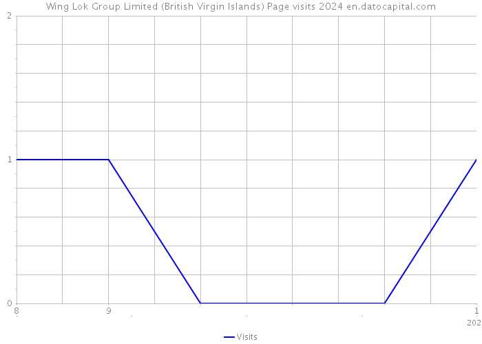 Wing Lok Group Limited (British Virgin Islands) Page visits 2024 