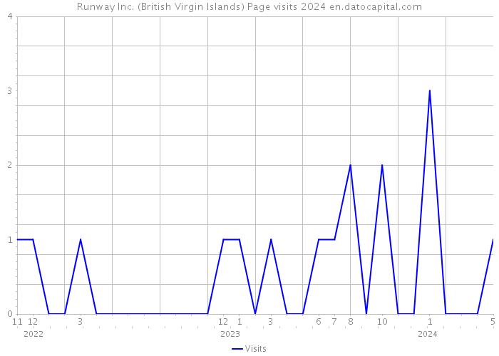Runway Inc. (British Virgin Islands) Page visits 2024 