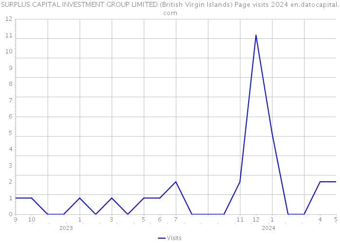 SURPLUS CAPITAL INVESTMENT GROUP LIMITED (British Virgin Islands) Page visits 2024 