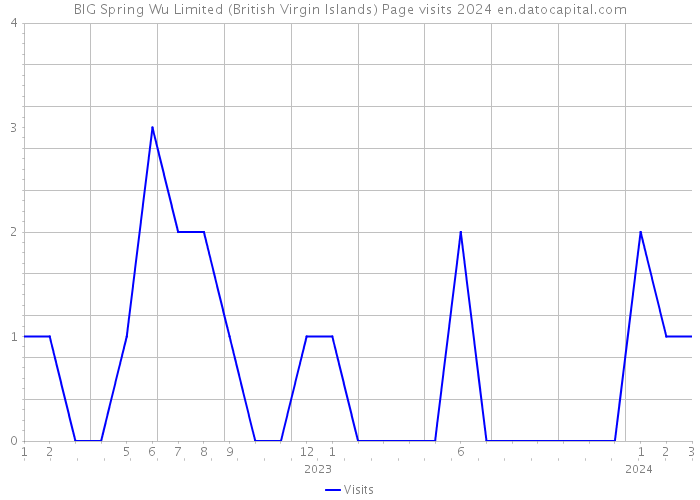 BIG Spring Wu Limited (British Virgin Islands) Page visits 2024 