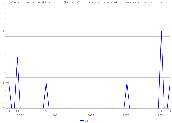 Megan International Group Ltd. (British Virgin Islands) Page visits 2024 