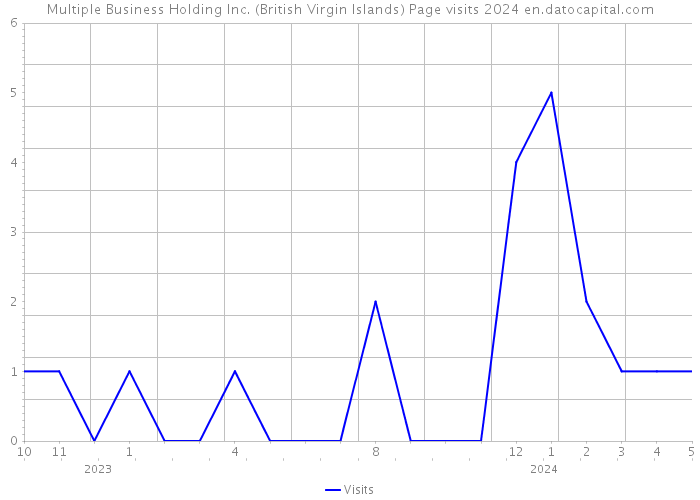 Multiple Business Holding Inc. (British Virgin Islands) Page visits 2024 