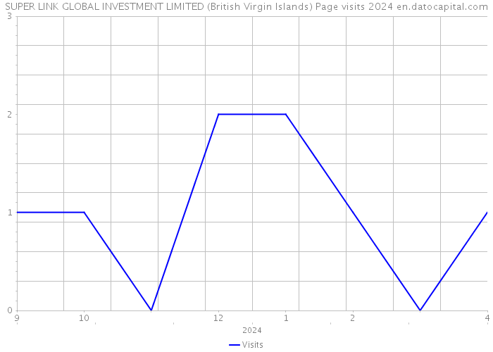 SUPER LINK GLOBAL INVESTMENT LIMITED (British Virgin Islands) Page visits 2024 