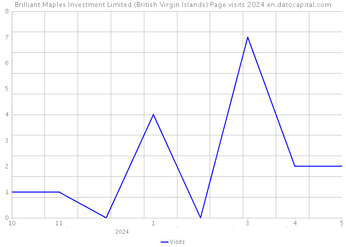 Brilliant Maples Investment Limited (British Virgin Islands) Page visits 2024 