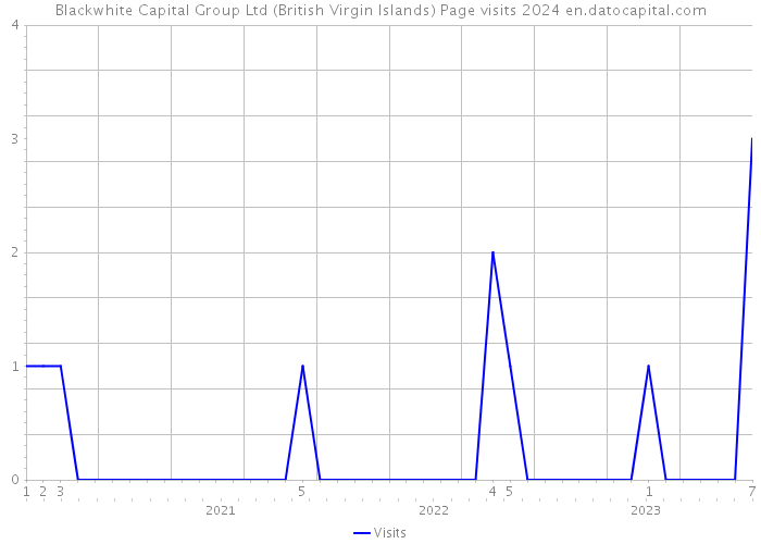 Blackwhite Capital Group Ltd (British Virgin Islands) Page visits 2024 