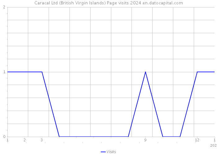 Caracal Ltd (British Virgin Islands) Page visits 2024 