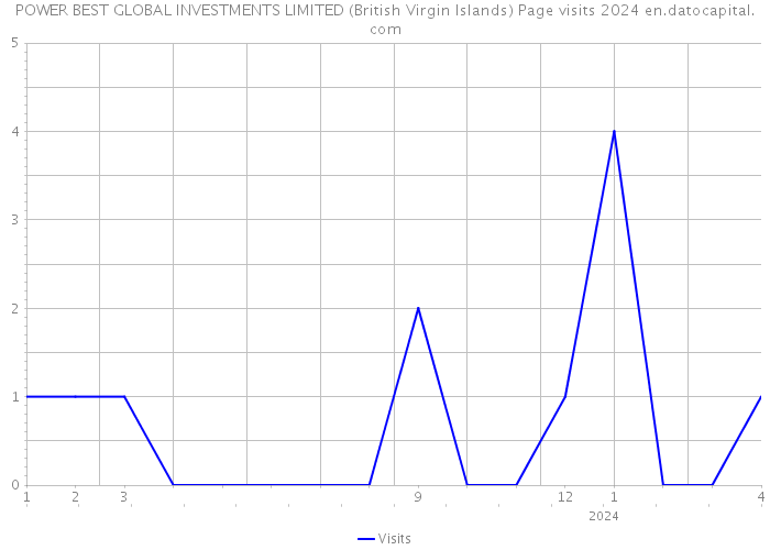 POWER BEST GLOBAL INVESTMENTS LIMITED (British Virgin Islands) Page visits 2024 