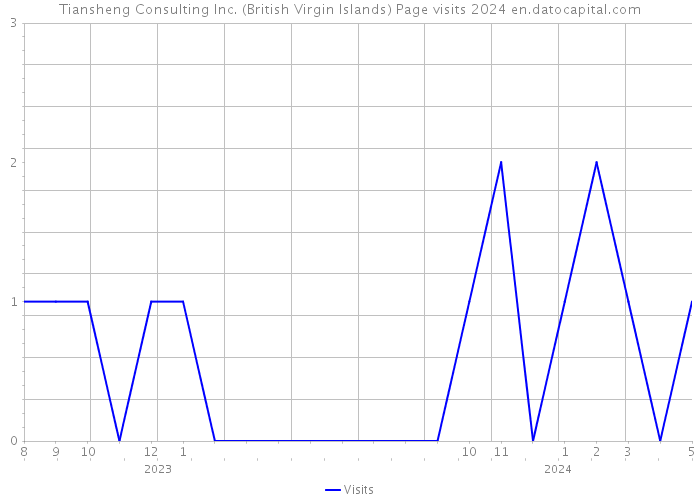 Tiansheng Consulting Inc. (British Virgin Islands) Page visits 2024 