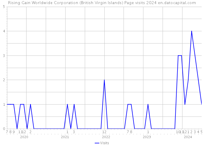 Rising Gain Worldwide Corporation (British Virgin Islands) Page visits 2024 