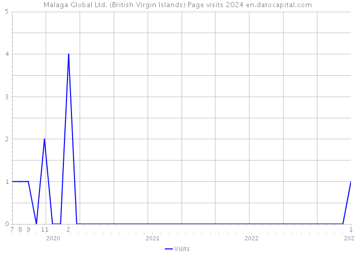 Malaga Global Ltd. (British Virgin Islands) Page visits 2024 