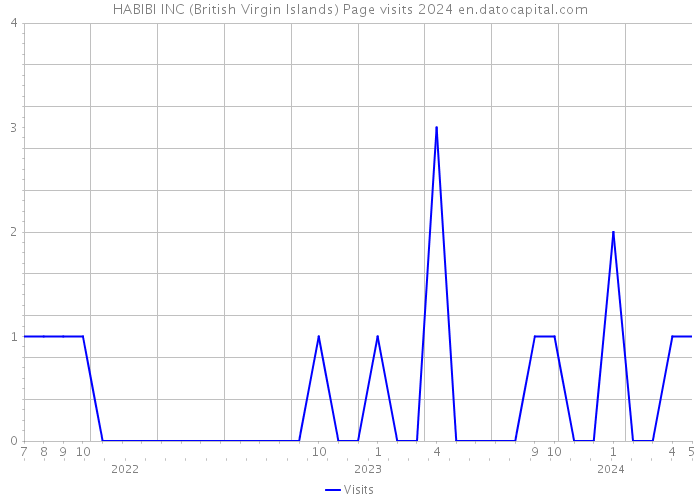 HABIBI INC (British Virgin Islands) Page visits 2024 