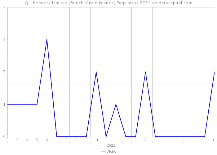 Q - Network Limited (British Virgin Islands) Page visits 2024 