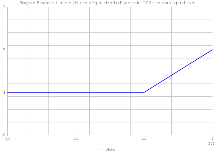 Brayton Business Limited (British Virgin Islands) Page visits 2024 