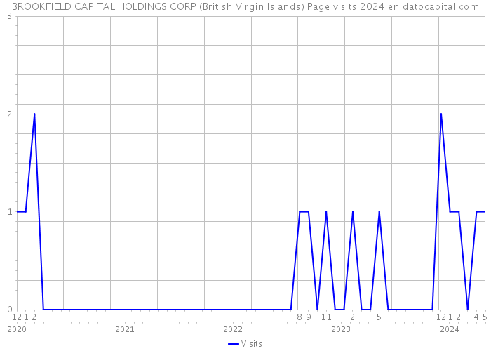 BROOKFIELD CAPITAL HOLDINGS CORP (British Virgin Islands) Page visits 2024 