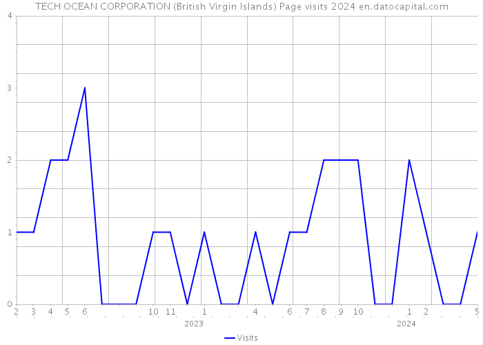 TECH OCEAN CORPORATION (British Virgin Islands) Page visits 2024 