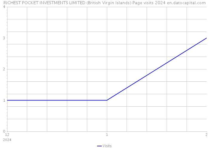 RICHEST POCKET INVESTMENTS LIMITED (British Virgin Islands) Page visits 2024 