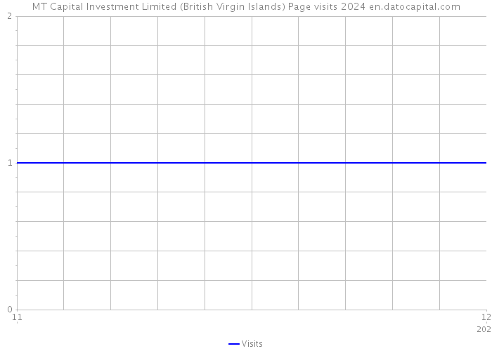 MT Capital Investment Limited (British Virgin Islands) Page visits 2024 