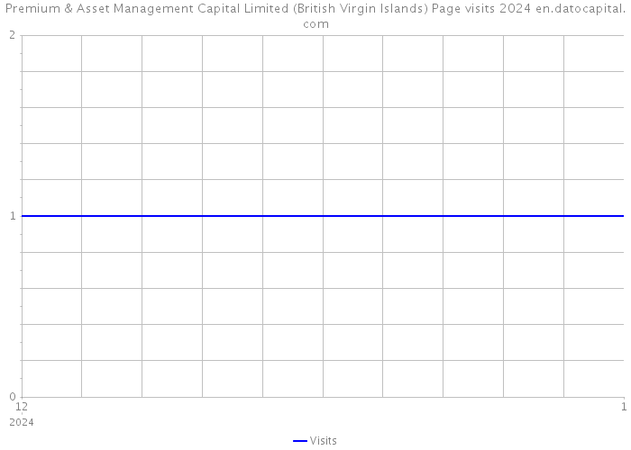 Premium & Asset Management Capital Limited (British Virgin Islands) Page visits 2024 