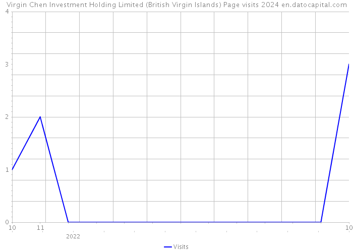 Virgin Chen Investment Holding Limited (British Virgin Islands) Page visits 2024 