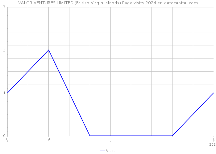 VALOR VENTURES LIMITED (British Virgin Islands) Page visits 2024 
