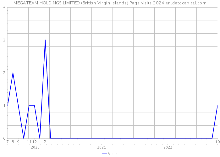 MEGATEAM HOLDINGS LIMITED (British Virgin Islands) Page visits 2024 