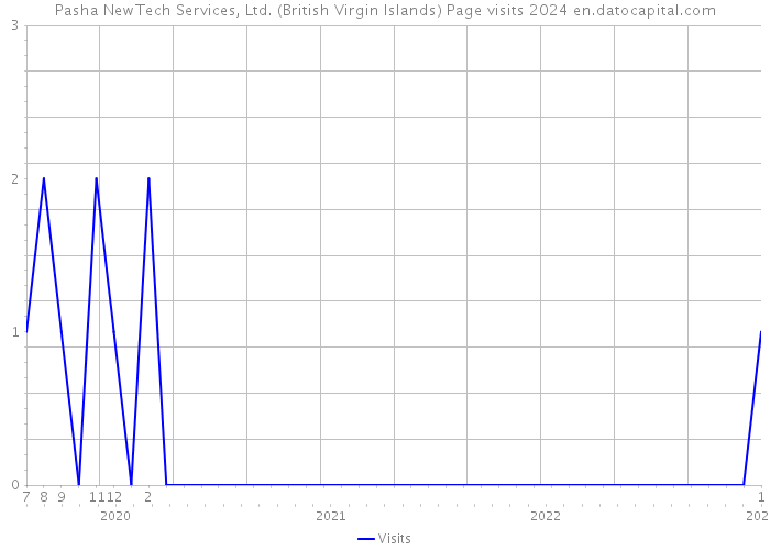 Pasha NewTech Services, Ltd. (British Virgin Islands) Page visits 2024 