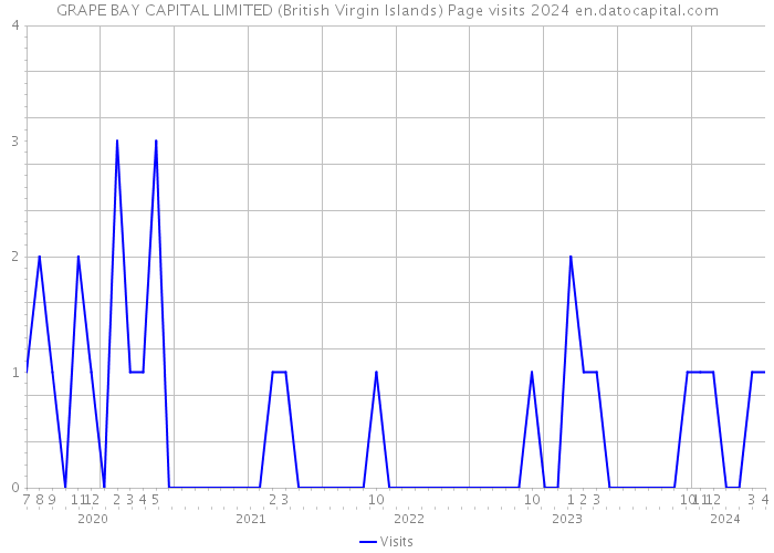 GRAPE BAY CAPITAL LIMITED (British Virgin Islands) Page visits 2024 