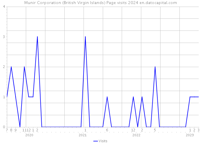 Munir Corporation (British Virgin Islands) Page visits 2024 