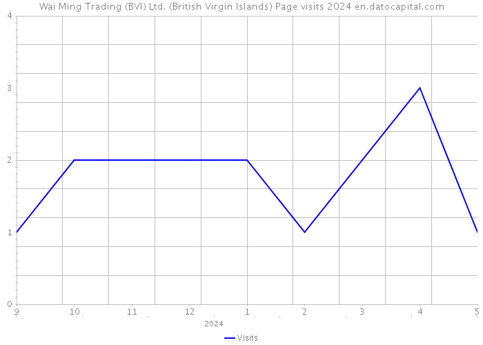 Wai Ming Trading (BVI) Ltd. (British Virgin Islands) Page visits 2024 