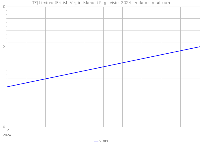 TFJ Limited (British Virgin Islands) Page visits 2024 