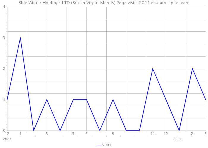 Blue Winter Holdings LTD (British Virgin Islands) Page visits 2024 