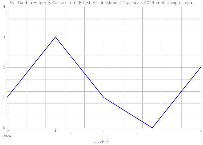 Full Golden Holdings Corporation (British Virgin Islands) Page visits 2024 