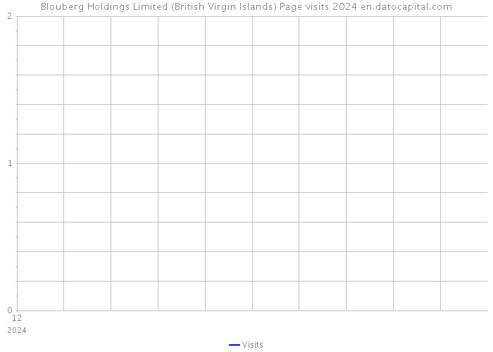 Blouberg Holdings Limited (British Virgin Islands) Page visits 2024 