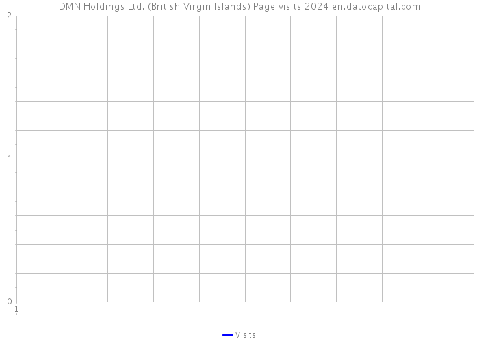 DMN Holdings Ltd. (British Virgin Islands) Page visits 2024 
