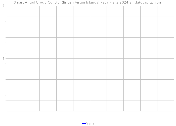 Smart Angel Group Co. Ltd. (British Virgin Islands) Page visits 2024 