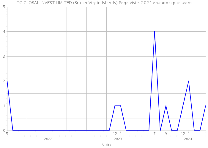 TG GLOBAL INVEST LIMITED (British Virgin Islands) Page visits 2024 