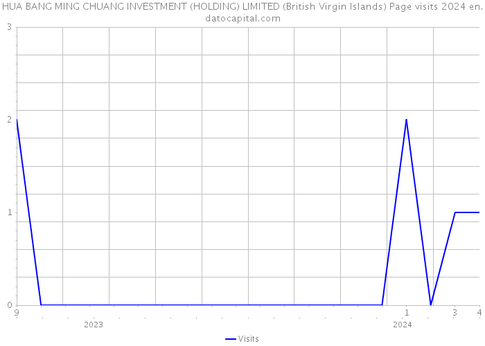 HUA BANG MING CHUANG INVESTMENT (HOLDING) LIMITED (British Virgin Islands) Page visits 2024 