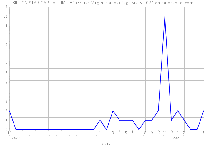 BILLION STAR CAPITAL LIMITED (British Virgin Islands) Page visits 2024 