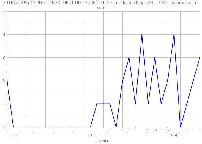 BILLION RUBY CAPITAL INVESTMENT LIMITED (British Virgin Islands) Page visits 2024 