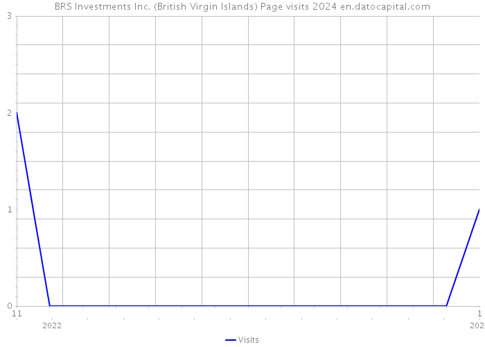 BRS Investments Inc. (British Virgin Islands) Page visits 2024 