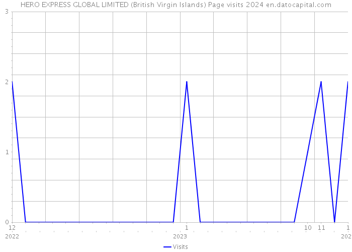 HERO EXPRESS GLOBAL LIMITED (British Virgin Islands) Page visits 2024 